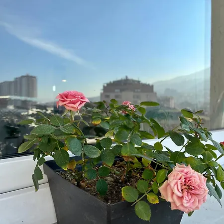 Homestel Hostel Skopje