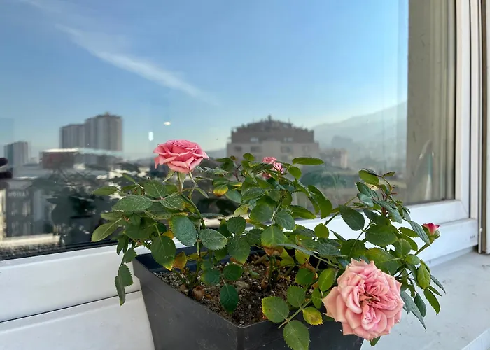 Homestel Hostel Skopje